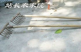 耙子