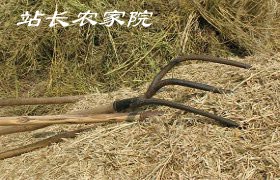 三角叉