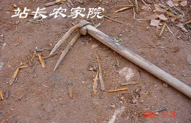 两叉镐