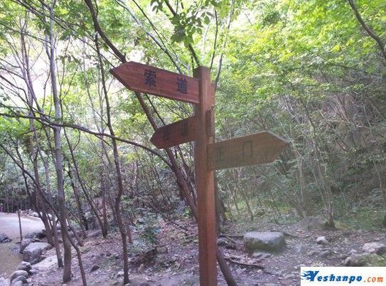 栈道和索道的选择