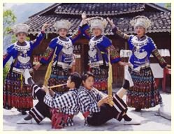 民族园滚山竹